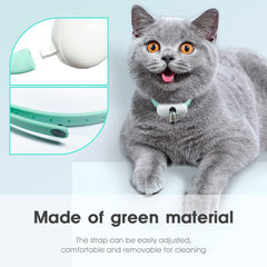 The Cat Smart Laser Toy