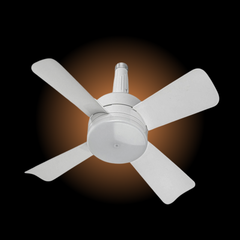 Fan Light